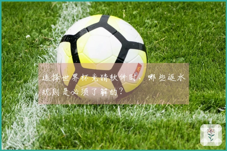 选择世界杯竞猜软件时，哪些返水规则是必须了解的？