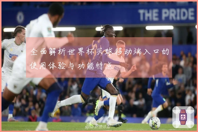 全面解析世界杯买球移动端入口的使用体验与功能特点