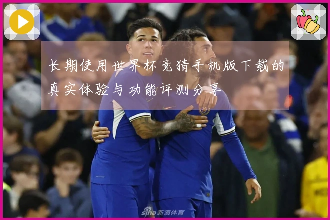 长期使用世界杯竞猜手机版下载的真实体验与功能评测分享