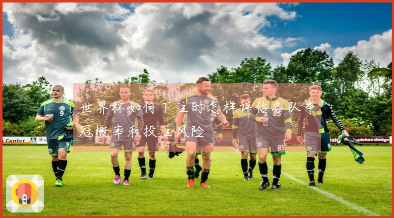 世界杯如何下注时怎样评估各队夺冠概率和投注风险