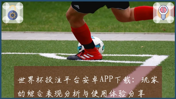 世界杯投注平台安卓APP下载：玩家的综合表现分析与使用体验分享