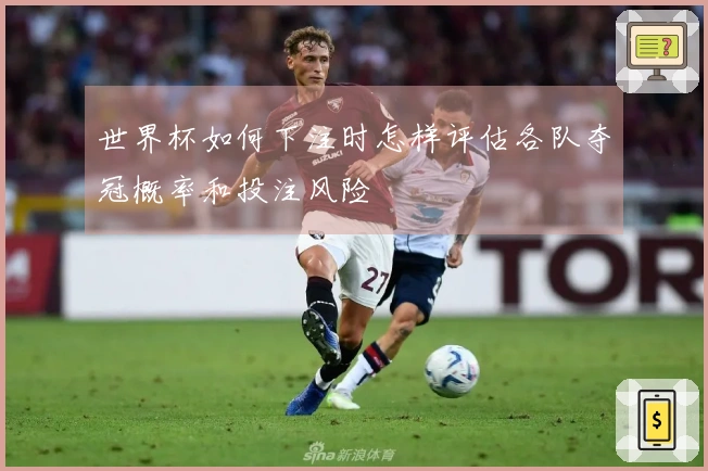 世界杯如何下注时怎样评估各队夺冠概率和投注风险