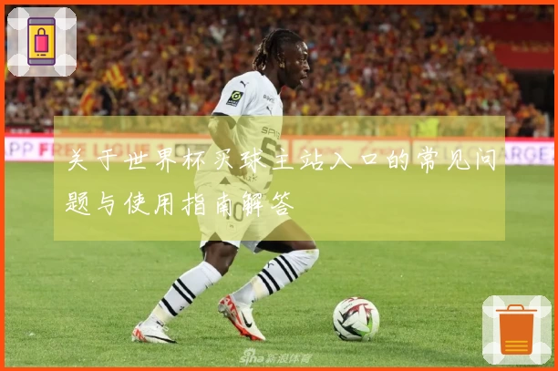 关于世界杯买球主站入口的常见问题与使用指南解答