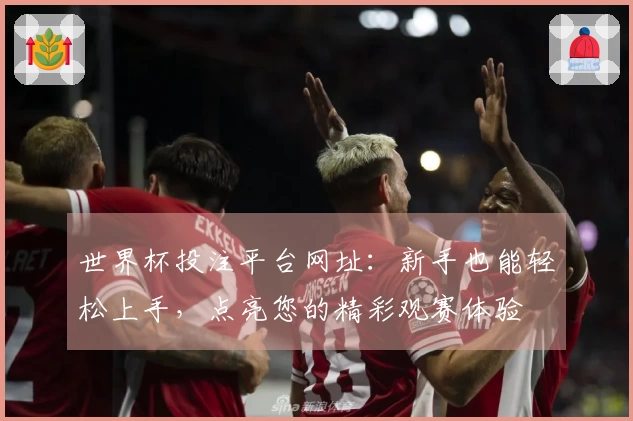 世界杯投注平台网址：新手也能轻松上手，点亮您的精彩观赛体验