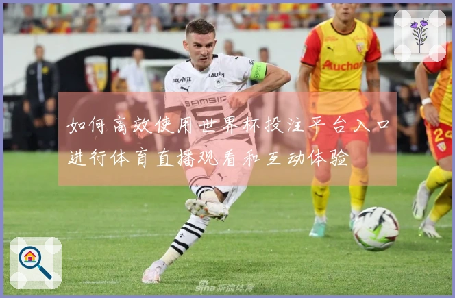 如何高效使用世界杯投注平台入口进行体育直播观看和互动体验
