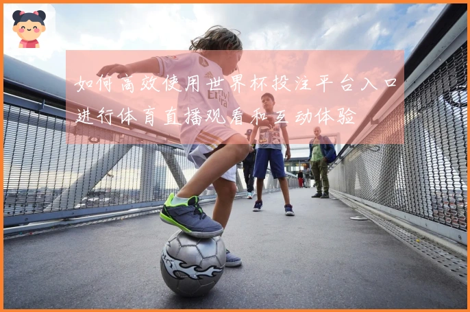 如何高效使用世界杯投注平台入口进行体育直播观看和互动体验