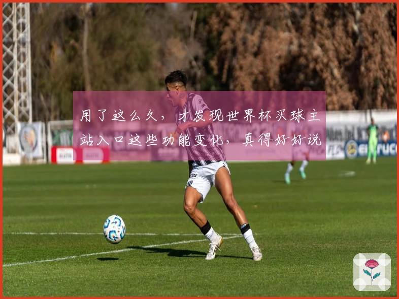 用了这么久，才发现世界杯买球主站入口这些功能变化，真得好好说说