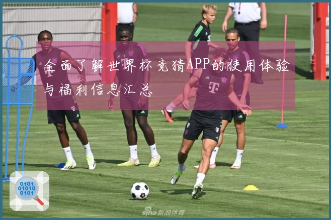全面了解世界杯竞猜APP的使用体验与福利信息汇总