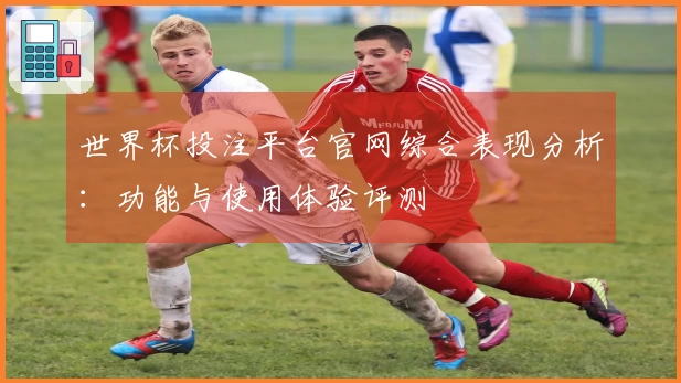 世界杯投注平台官网综合表现分析：功能与使用体验评测