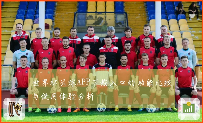 世界杯买球APP下载入口的功能比较与使用体验分析