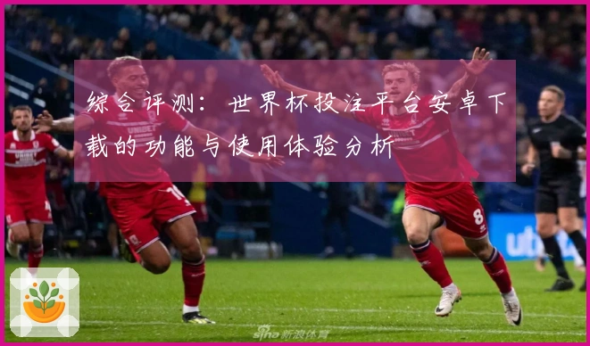 综合评测：世界杯投注平台安卓下载的功能与使用体验分析