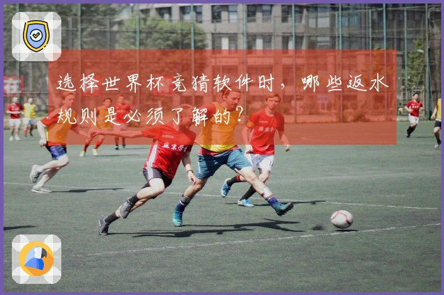 选择世界杯竞猜软件时，哪些返水规则是必须了解的？