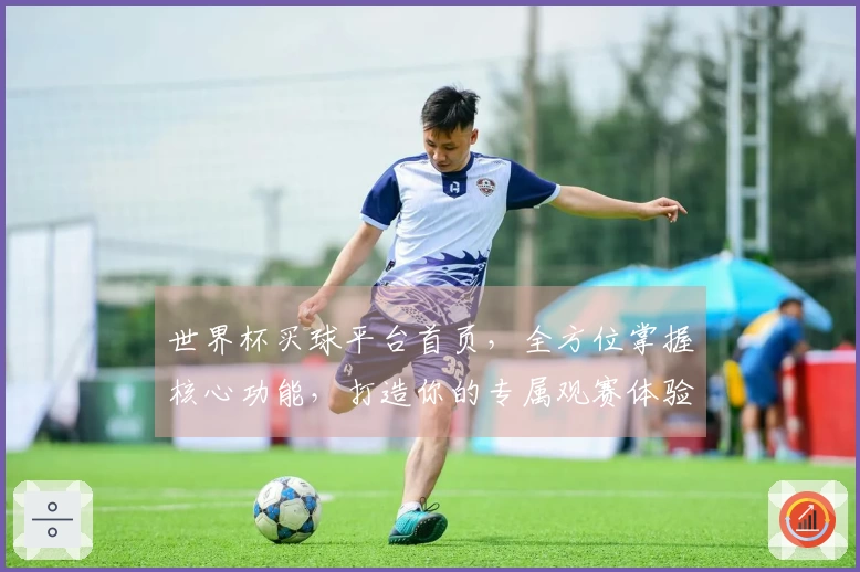 世界杯买球平台首页，全方位掌握核心功能，打造你的专属观赛体验