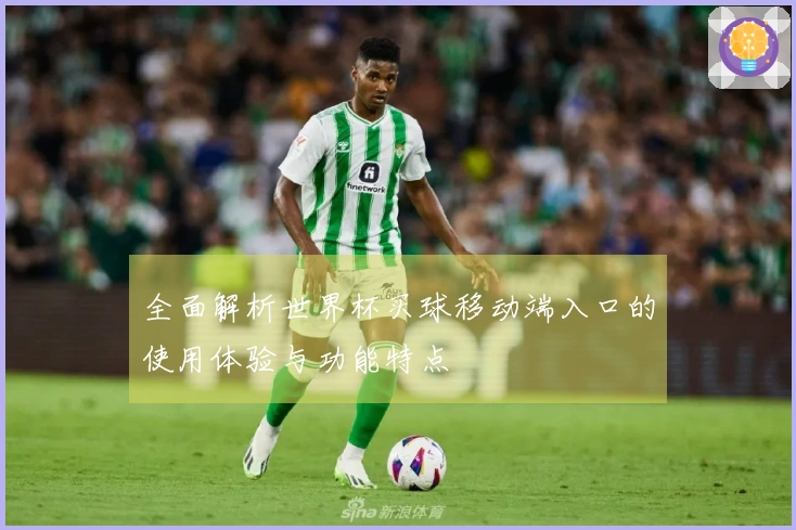 全面解析世界杯买球移动端入口的使用体验与功能特点