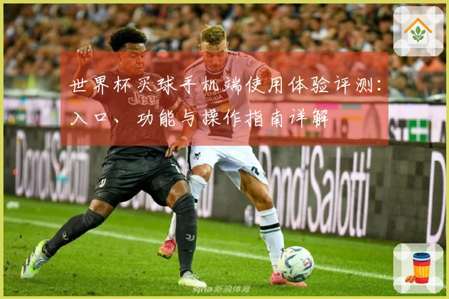 世界杯买球手机端使用体验评测：入口、功能与操作指南详解