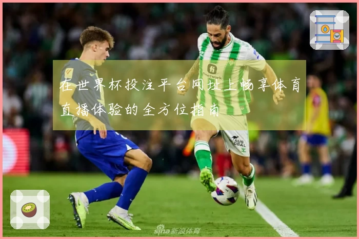 在世界杯投注平台网址上畅享体育直播体验的全方位指南